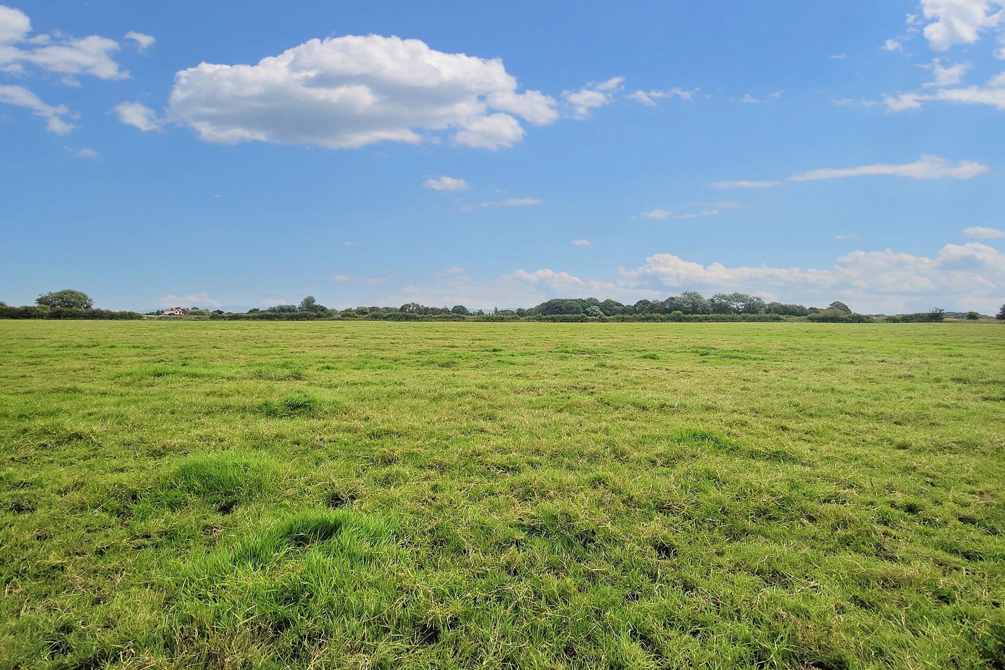 land on the south side of Head Dyke Lane Pilling, Dyke Lane Image